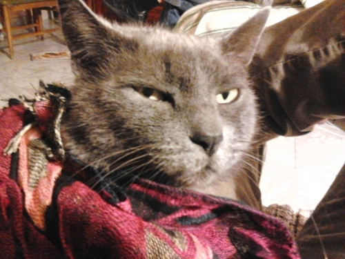 Sabrilleta's profile picture. «Los lugares más calientes del infierno están reservados para aquellos que en tiempos de crisis moral mantienen su neutralidad». Dante