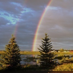 Tracy_Thor's profile picture. 