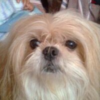 MARISELA CHUMPITAZ C (@mazaleham) 's Twitter Profile