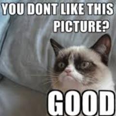 Grumpy Cat™ @GrumpyCat_1  Twitter