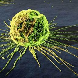 NTC. Nuevas Tecnologías Científicas, somos un conjunto de científicos asturianos investigando y creando soluciones en la lucha conta el cáncer