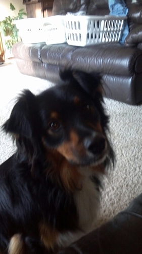 ldh1960's profile picture. I'm a mother of 4 and have 5 beautiful grandchildren. I've been married to my husband Marty for 26 years. I love camping and travelling on our Harley.