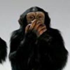Justicia independiente del poder de turno. Castigo al corrupto. Si eres KK, populista, socialista, comunista no me sigas, mis opiniones te molestarán. PRO!
