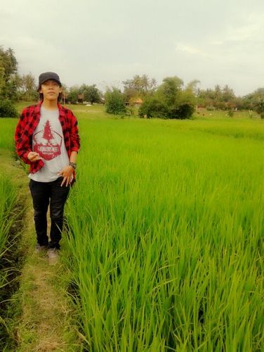 jackwar03's profile picture. INDIVIDU MERDEKA