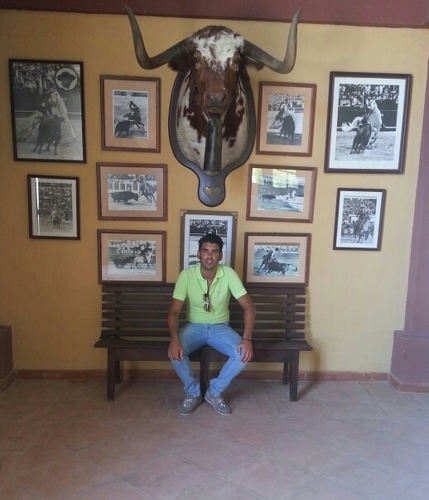 EL CABALLO Y EL TORO COMO FORMA DE VIDA