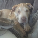 Brian Counihan - @CounihanBrian - Twitter