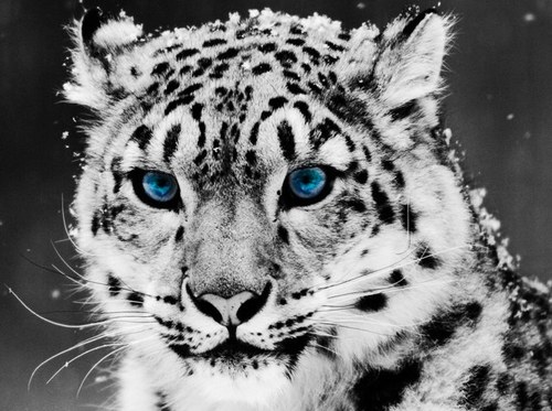 DarbyCreekElem Profile Picture