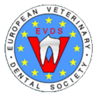 EVDS (@evdsboard) 's Twitter Profile