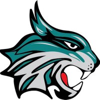 D5 CATS (@catsd5) 's Twitter Profile