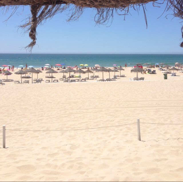 smokie3101's profile picture. 