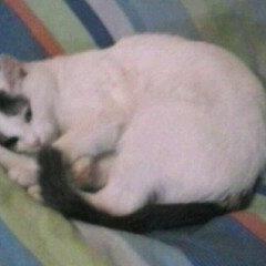 I live in Hungary.
but a great dream to New York or Los Angeles to live in a few years.
I am 23 years old.
