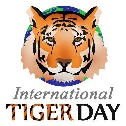 Save the Tigers!