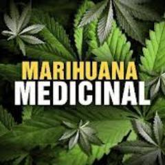 15Sacon's profile picture. 