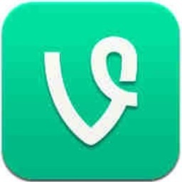 Descriptions from typical vines you see on your feed. Follow @Wordstigram and @SnapchatlnWords also. (Tweets by @Zilliamson,@D_Fman, and @DanielTheRapper)