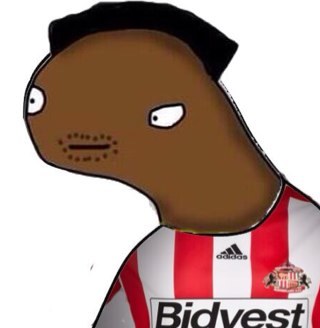 Stefinpls's profile picture. 