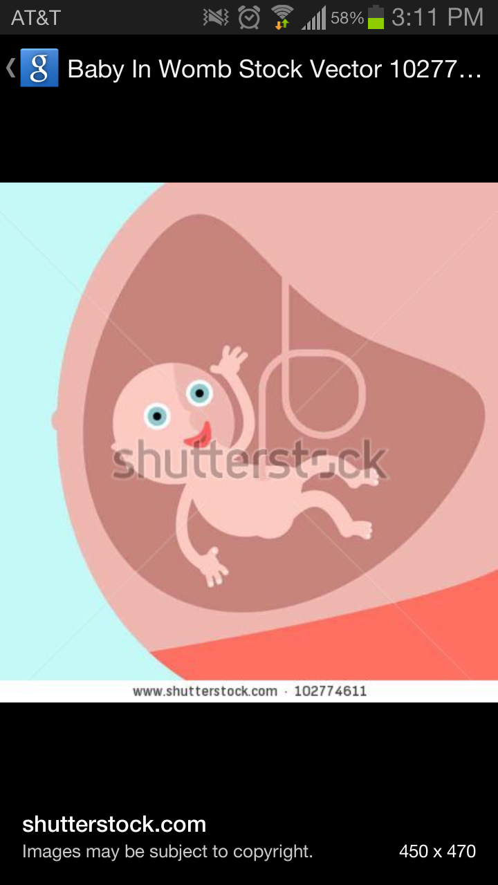 RSheps13's profile picture. 