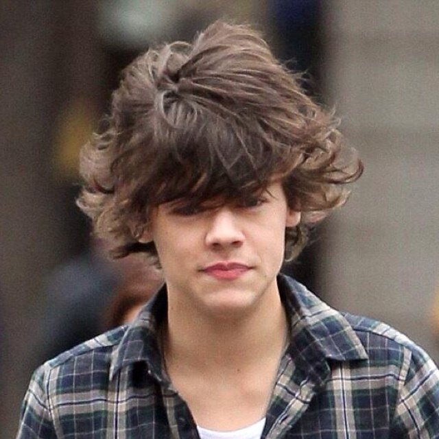 @javamusikindo please bring us One Direction! ♥directioner