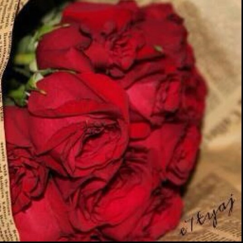 عذراا..لا اضيف الشباب
