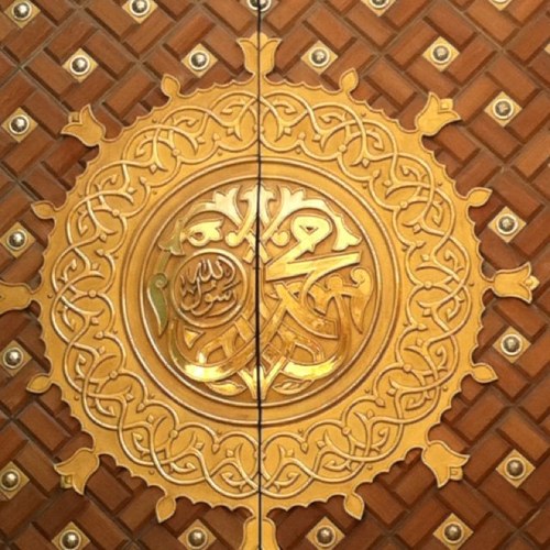 NHsaq Profile Picture