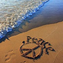 DerekNear's profile picture. 