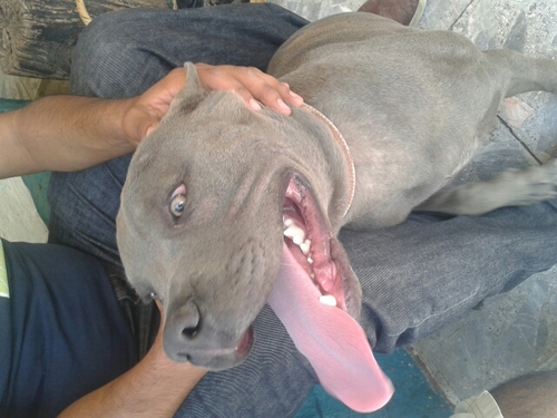 javierowsky's profile picture. 