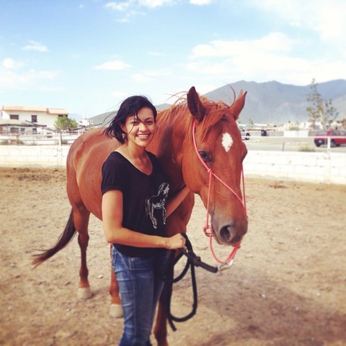 Horses, yoga, vaulting, equestrian, life, love, music, coffee, wild life, nature, world and more