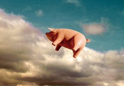 learningtofly15's profile picture. Go with the flow...