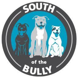 southofthebully Profile Picture