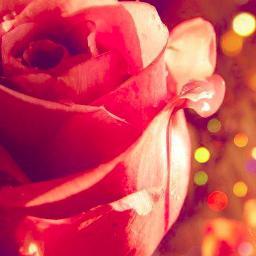 three quarters of elegance lies in speech.