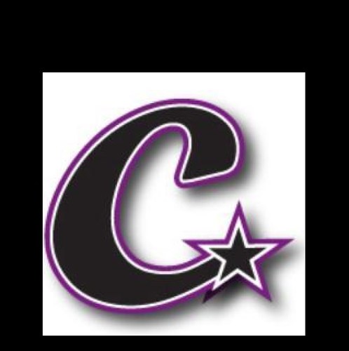 Charlotte Allstars North Senior Coed Level 3!
2013-2014