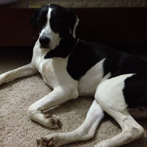 bakerboyzmomma's profile picture. The world and its desires pass away, but whoever does the will of God lives forever. 1 John 2:17