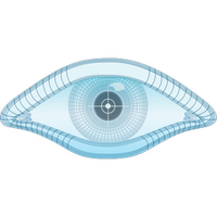 Full Disclosure (@seclists) 's Twitter Profile