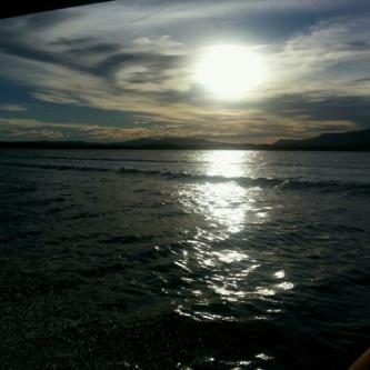 askelyvegas's profile picture. 