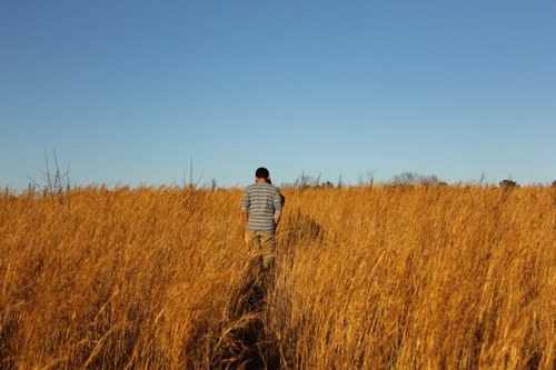 vics_rendition's profile picture. 