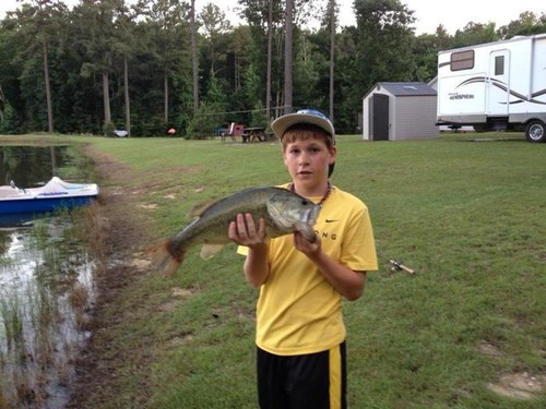 Nolanhughes3's profile picture. 