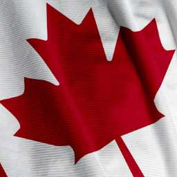 WebIncubator's profile picture. Innovation and incubation ( Digital media, Web portals, Content Curation, Search engine ...)