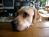 sekisan_db's profile picture. せいうち＠sapporo