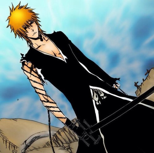 I'm ichigo kurosaki, Substitue Soul Reaper, I became a Soul Reaper to protect all of the innocent, and no matter what i have to do, I must win!
