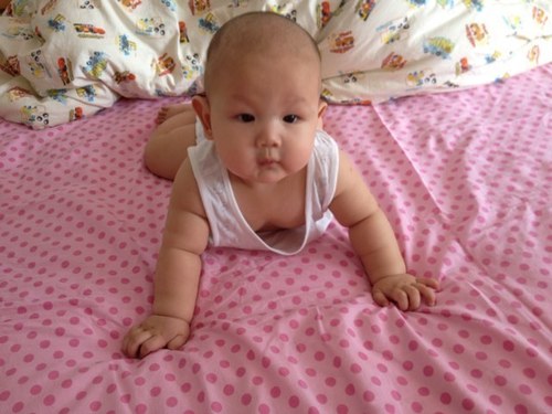 arsenalsmario's profile picture. I focus on analysing and predicting every game by Arsenal。As a die-hard gunner fan from mainland China, I hope I can help our club to become the most invincible