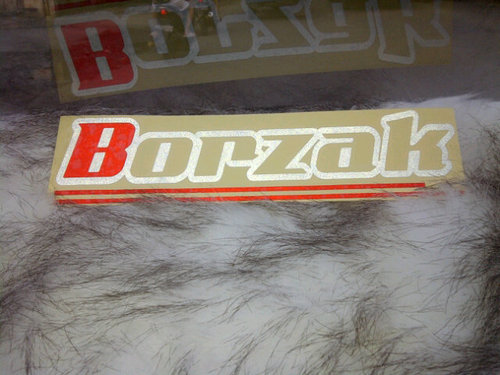 BorzakMedan's profile picture. 