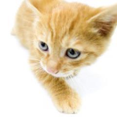 secondstage1234's profile picture. 仕事の都合で中国に行きます。中国に興味ある方など気軽にフォローしてください。レディースファッションの仕事しています。