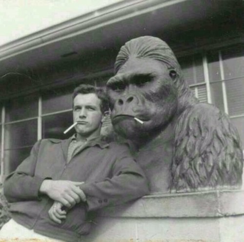 huan9zh1zhon9's profile picture. 