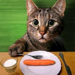 Donna_LifeStyle's profile picture. 