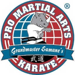 A dynamic and fun activity that will build character and strengthen your mind, body and spirit. The official Twitter for PRO Martial Arts Burlington!