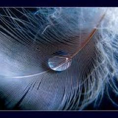 Things do not change; we change. ~ Henry David Thoreau ~