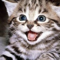RAVIRAJ (@raviraj27449759) 's Twitter Profile