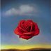 Meditative Rose (@rosemeditative) Twitter profile photo