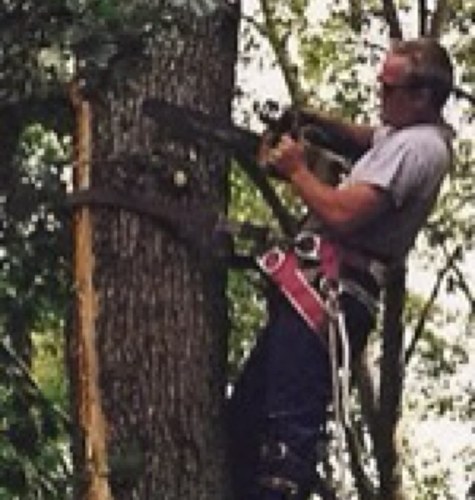 Tree Service of Richmond, Va. Our estimates are always free.