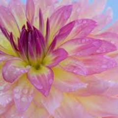 Sometimes your joy is the source of your smile, but sometimes your smile can be the source of your joy.~ Thich Nhat Hanh