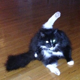 KirkStopherling's profile picture. 